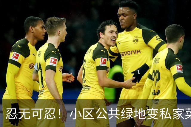 忍无可忍！小区公共绿地变私家菜园，凭什么让全体业主买单？